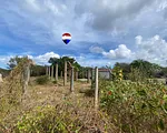 land, for sale, El Cercado, La Guardia, Nueva Esparta, Isla de Margarita, 512 mt2 - Inmuebles Margarita - 2 MIL thumbnail 3