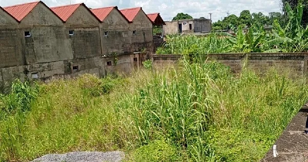 Land for Sale with Urban Development Project Started - Av Principal de La Cruz Altos de La Cruz, 6201 Maturin - Plot of land for sale