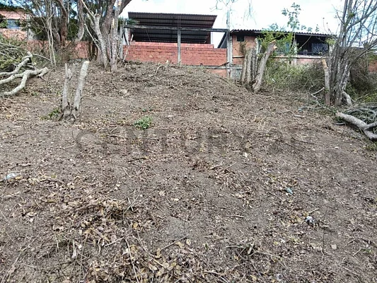 Wide open land plot