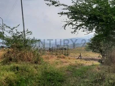 Scenic view of property terrain