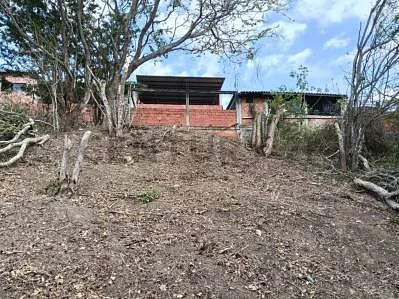 Natural landscape overview