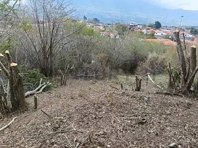 Raw land terrain view