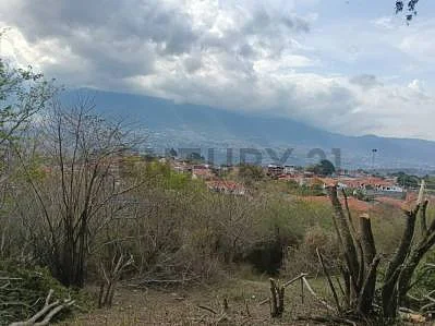 Expansive undeveloped acreage