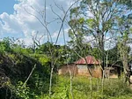 farm/estate for sale in Centro San Felipe, San Felipe, San Felipe, Yaracuy thumbnail 2