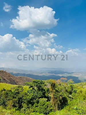 farm/estate for sale in Centro San Felipe, San Felipe, San Felipe, Yaracuy
