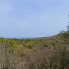 Serene garden landscape view