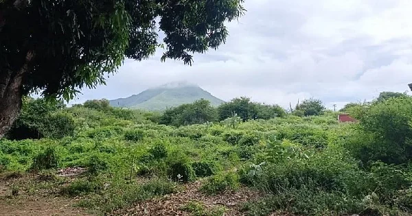 Land for sale For Housing project a few meters from Parque el Agua - Calle la Sabana 30, 6301 Antolin del Campo - Plot of land for sale