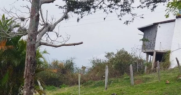 The perfect place to unwind - El Valle, Calle Zorquereñita, Aldea Roscio, Secto lote 2, 5009 Táchira - 1 bed plot of land for sale