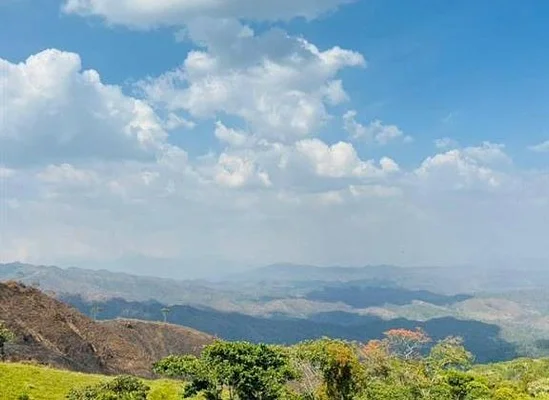 AGROINDUSTRIAL Nirgua Farm - N.A n.a, 3201 San Felipe - Plot of land for sale