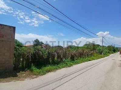 Surrounding landscape