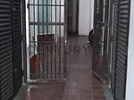 warehouse for rent in La Unión, El Hatillo, Caracas, Miranda thumbnail 3