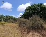 land, for sale, En La Mira, Nueva Esparta, Isla de Margarita, 1.128,15 sqm - Inmuebles Margarita - 2 MIL thumbnail 1