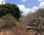 land, for sale, En La Mira, Nueva Esparta, Isla de Margarita, 1.128,15 sqm - Inmuebles Margarita - 2 MIL thumbnail 3