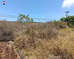 land, for sale, En La Mira, Nueva Esparta, Isla de Margarita, 1.128,15 sqm - Inmuebles Margarita - 2 MIL thumbnail 2