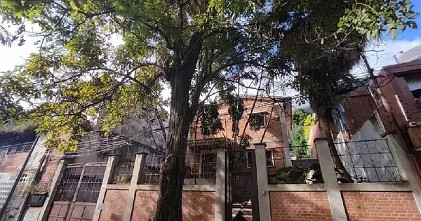 For sale house to remodel, with excellent location in Los Palos Grandes - 5ta Avenida con 10ma Transversal, Los Palos Grand Quinta Ana, 1060 CCS - 5 beds house for sale