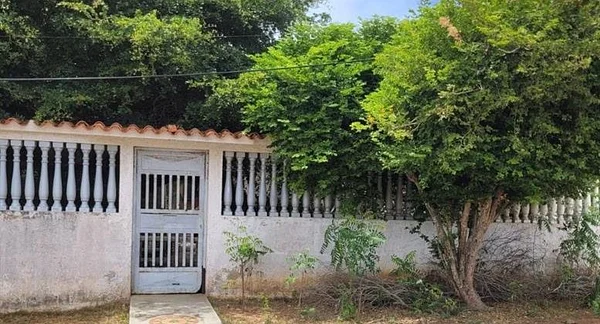SALE OF CASA SABANA DE GUACUCO IN ISLA DE MARGARITA - Calle principal S/N Sector El Hato, 6301 La Asuncion - 5 beds house for sale