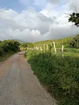 land with farm/estate, for sale, In Pedro González, Nueva Esparta, Isla de Margarita, 50000 MT2 - Inmuebles Margarita - 2 MIL thumbnail 2