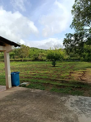 land with farm/estate, for sale, In Pedro González, Nueva Esparta, Isla de Margarita, 50000 MT2 - Inmuebles Margarita - 2 MIL - Image 6