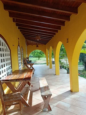 land with farm/estate, for sale, In Pedro González, Nueva Esparta, Isla de Margarita, 50000 MT2 - Inmuebles Margarita - 2 MIL - Image 7