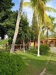 land with farm/estate, for sale, In Pedro González, Nueva Esparta, Isla de Margarita, 50000 MT2 - Inmuebles Margarita - 2 MIL thumbnail 4