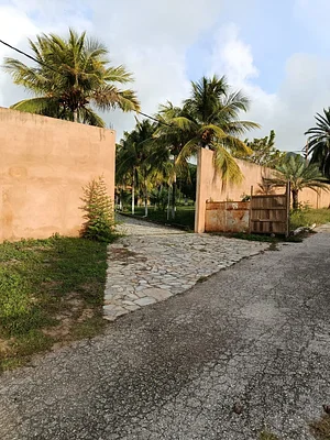 land with farm/estate, for sale, In Pedro González, Nueva Esparta, Isla de Margarita, 50000 MT2 - Inmuebles Margarita - 2 MIL - Image 3