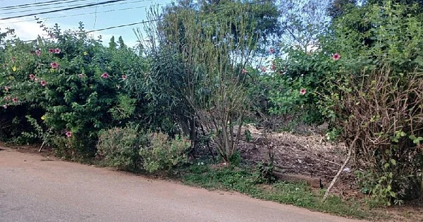 LA GUARINA LAND - Guatamare Urbanización la Guarina, 6311 La Asuncion - Plot of land for sale