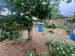 land, for sale, En la Mira, near Playa el Agua, Nueva Esparta, Isla de Margarita, 608 MT2 - Inmuebles Margarita - 2 MIL thumbnail 2