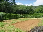 house for sale in Centro La Asunción, Arismendi, La Asunción, Nueva Esparta thumbnail 3