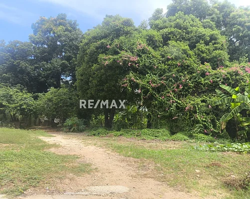 land, for sale, La Vega, Atamos Sur, Nueva Esparta, Isla de Margarita, 8358 mt2 - Inmuebles Margarita - 2 MIL