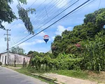 land, for sale, La Vega, Atamos Sur, Nueva Esparta, Isla de Margarita, 8358 mt2 - Inmuebles Margarita - 2 MIL thumbnail 2
