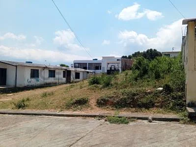 Wooded section of property