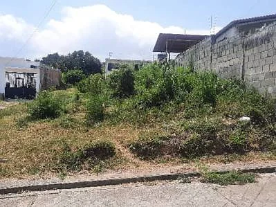 Open pasture land