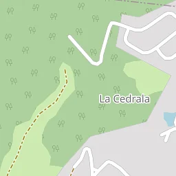 Natural vegetation