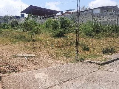 Scenic meadow area