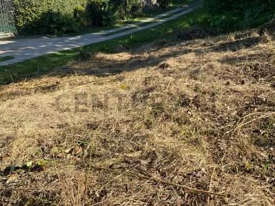 Dirt road access