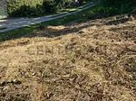 land for sale in Centro Poblado, Independencia, Capacho, Táchira thumbnail 5