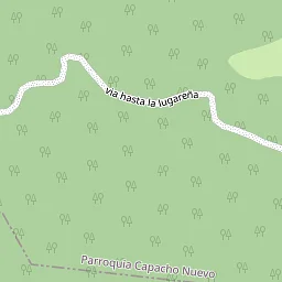 Open field area