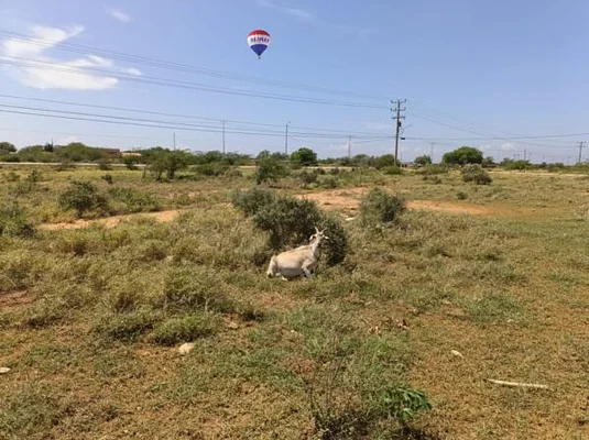 land of 70 Hectares, for sale, Av Juan Bautista Arismendi, In Punta De Piedras, Nueva Esparta, Isla de Margarita, 700 mt2 - Inmuebles Margarita - 2 MIL