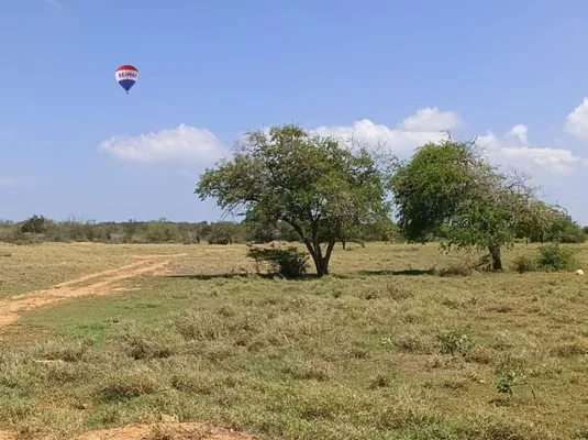 land of 70 Hectares, for sale, Av Juan Bautista Arismendi, In Punta De Piedras, Nueva Esparta, Isla de Margarita, 700 mt2 - Inmuebles Margarita - 2 MIL - Image 2