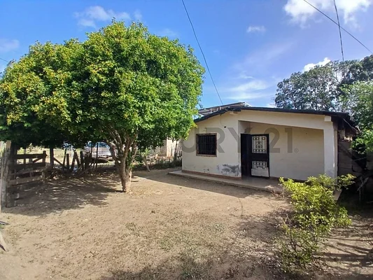 Aerial view of vacant land