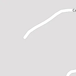 Wooded section of land