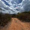 land, for sale, Guayabal Sector, La Asunción, Nueva Esparta, Isla de Margarita, 511 mt2 - Inmuebles Margarita - 2 MIL - Image 9