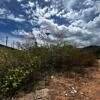 land, for sale, Guayabal Sector, La Asunción, Nueva Esparta, Isla de Margarita, 511 mt2 - Inmuebles Margarita - 2 MIL - Image 11