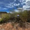 land, for sale, Guayabal Sector, La Asunción, Nueva Esparta, Isla de Margarita, 511 mt2 - Inmuebles Margarita - 2 MIL - Image 10