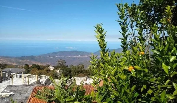 SALE OF A LOT OF LAND 5,236 MTS - Sector la Tiama Terreno, 1083 CCS - 10 beds plot of land for sale