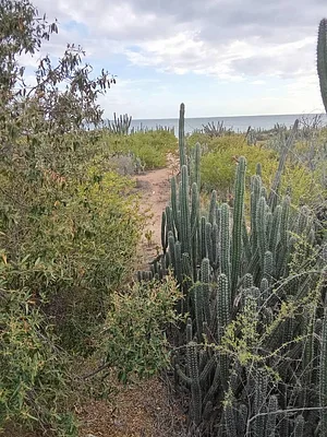 land, for sale, Peninsula de Macanao, Nueva Esparta, Isla de Margarita, 3840 MT2 - Inmuebles Margarita - 2 MIL - Image 5