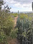 land, for sale, Peninsula de Macanao, Nueva Esparta, Isla de Margarita, 3840 MT2 - Inmuebles Margarita - 2 MIL thumbnail 5