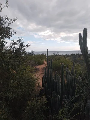 land, for sale, Peninsula de Macanao, Nueva Esparta, Isla de Margarita, 3840 MT2 - Inmuebles Margarita - 2 MIL - Image 2