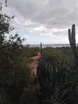 land, for sale, Peninsula de Macanao, Nueva Esparta, Isla de Margarita, 3840 MT2 - Inmuebles Margarita - 2 MIL thumbnail 2
