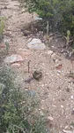 land, for sale, Peninsula de Macanao, Nueva Esparta, Isla de Margarita, 3840 MT2 - Inmuebles Margarita - 2 MIL thumbnail 3